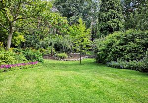 Optimiser l'expérience du jardin à Coulangeron